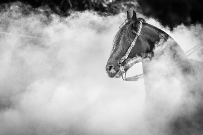 PHOTO-2025-10-31-17-42-29